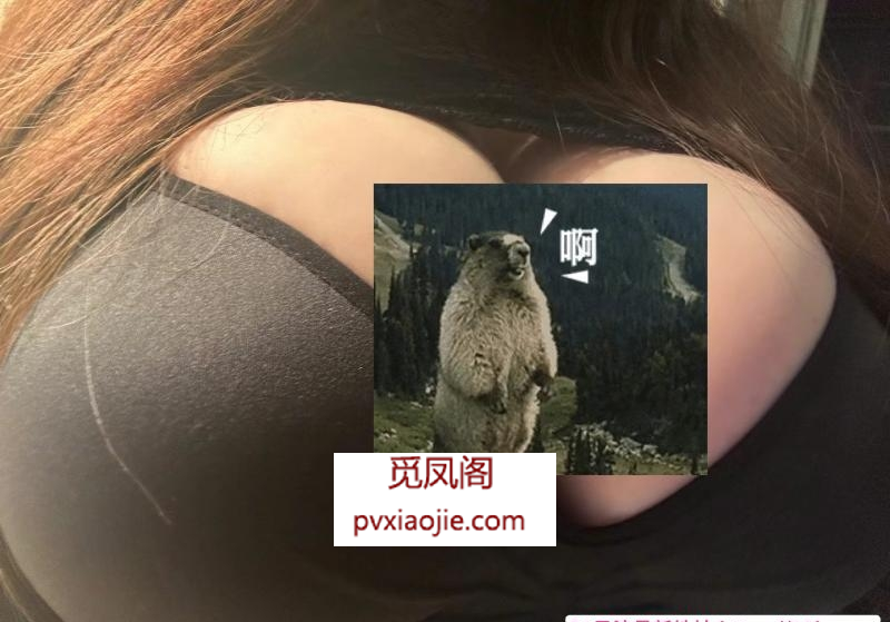 奉贤巨乳妹子体验